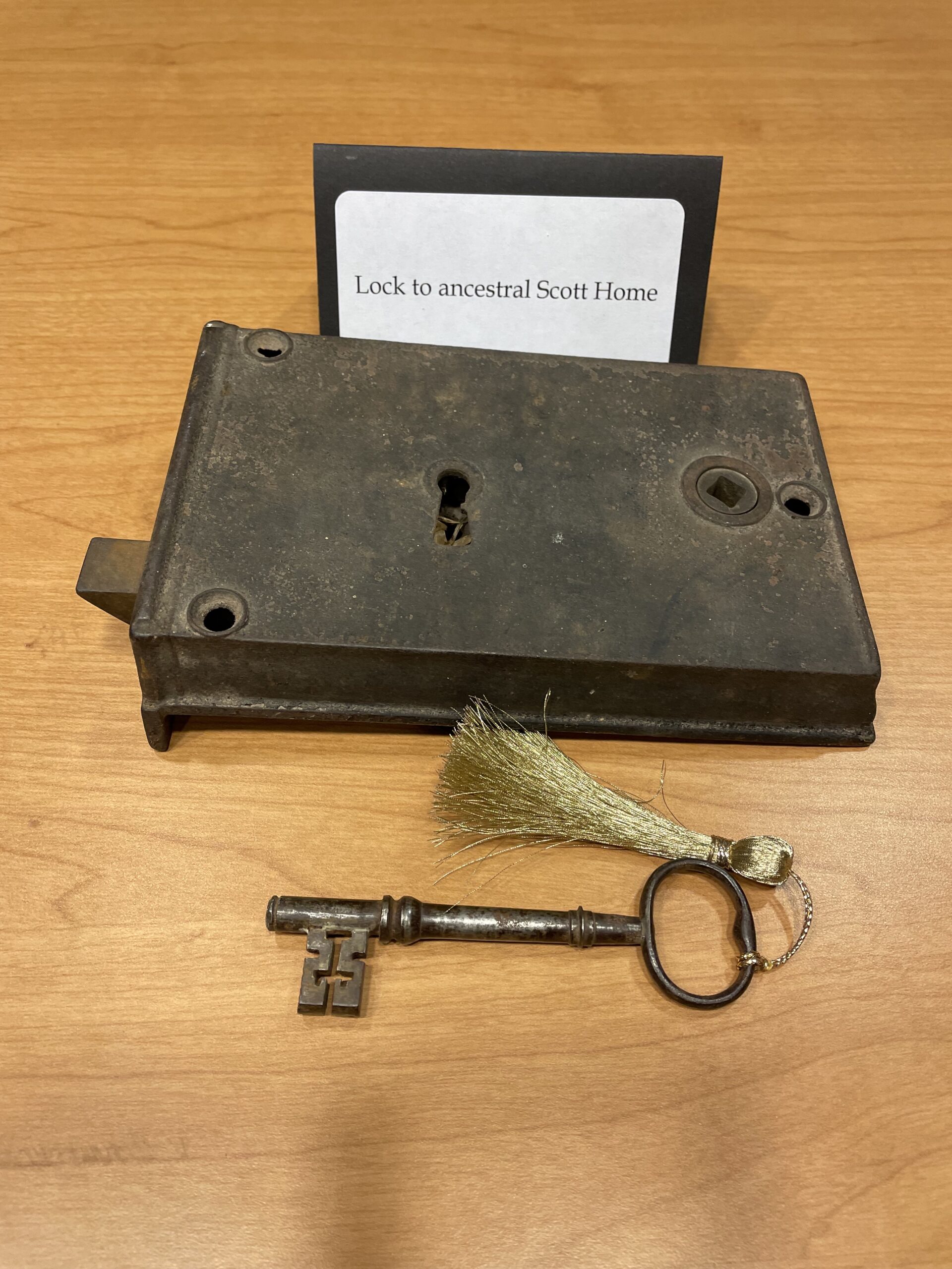 Unlocking the Past: An analysis of the Scott Family History through ...